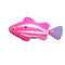 Fish J