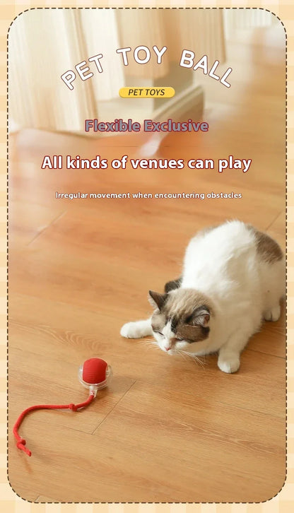 Hot Electric Automatic Rolling Dog Ball Toy
