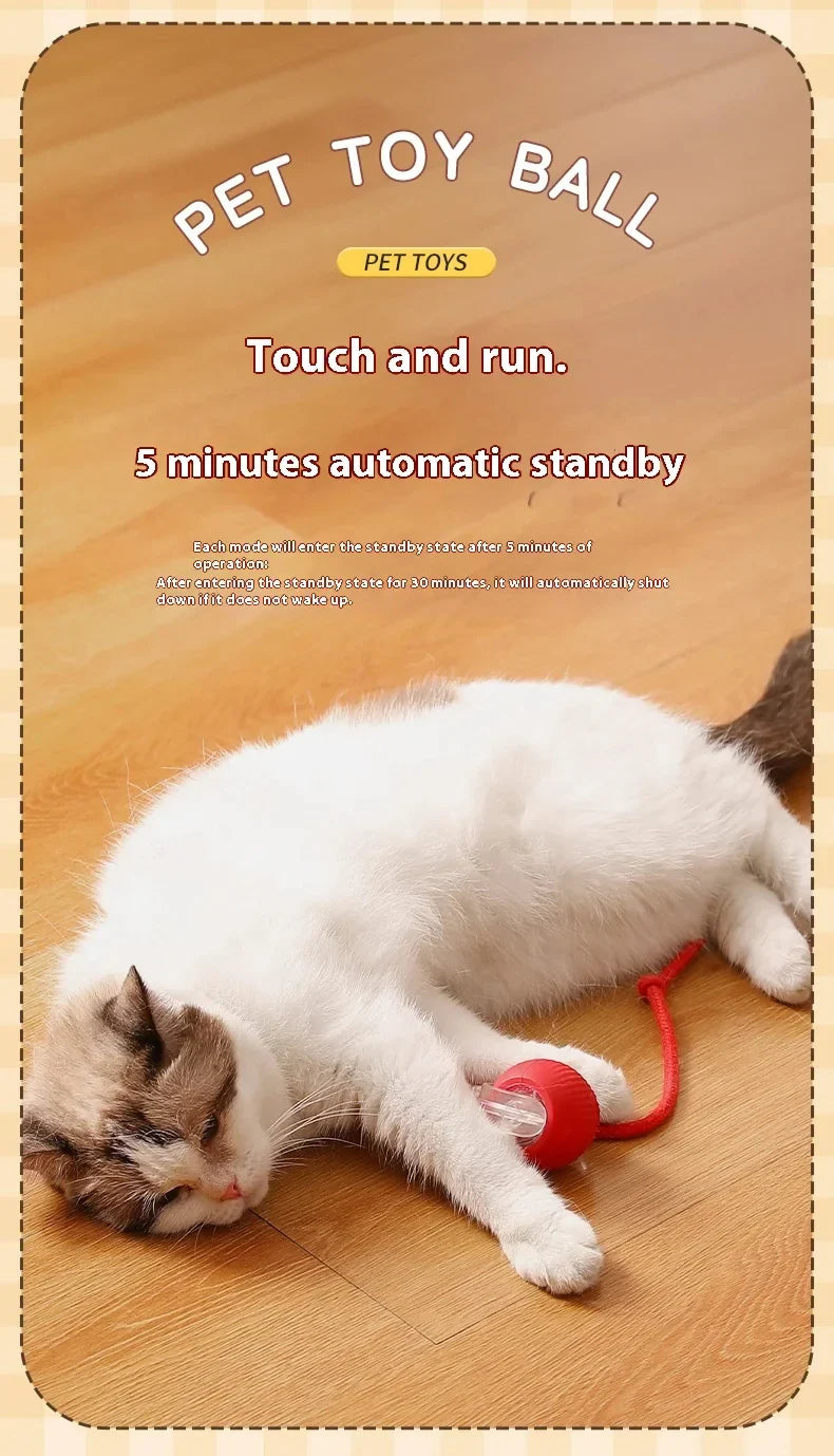 Hot Electric Automatic Rolling Dog Ball Toy