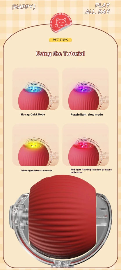 Hot Electric Automatic Rolling Dog Ball Toy
