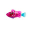 Fish B