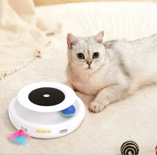 2-in-1 Smart Interactive Pet Toy