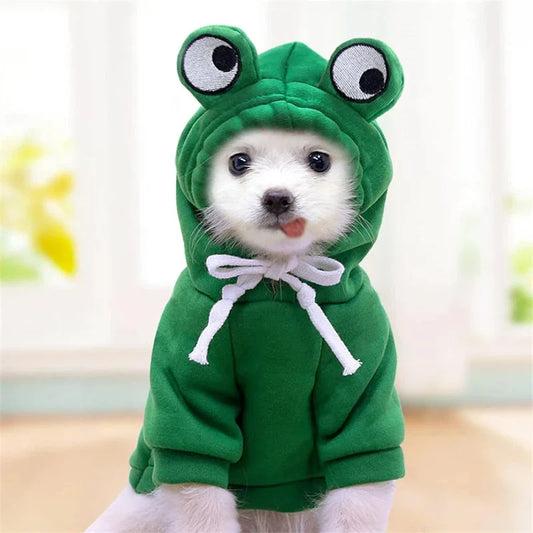 Cosy Pet Hoodie